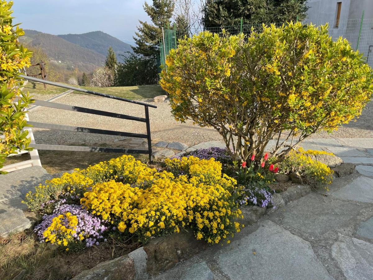Camere Villa Lunardini Frassinetto  외부 사진